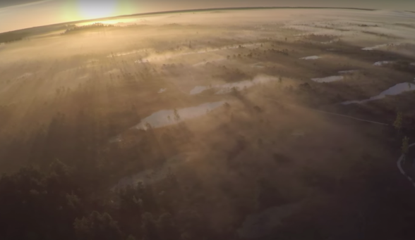 Raksta attēls - VIDEO: Fantastisks vasaras rīts Ķemeru tīrelī ar Skyforger mūziku