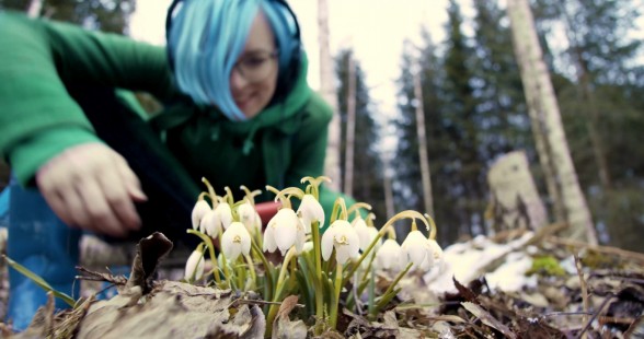 Raksta attēls -  “Waterflower” izdod augu ģenerētas mūzikas singlu “Sniegpulkstenītes”