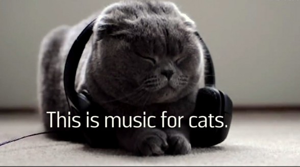 Raksta attēls - Čellists raksta mūziku kaķiem